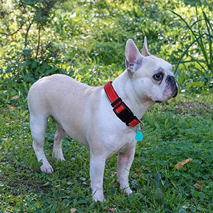 Ladoogo Reflective Dog Collar Padded with Soft Neoprene Breathable Adjustable Nylon Dog Collars for Small Medium Large Dogs (X-Small (Pack of 1), Red Collar+Leash) - color: Red Collar+Leash, size: X-Small (Pack of 1)