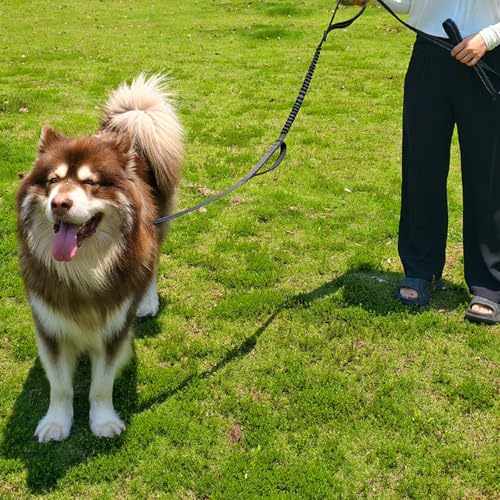 WYuZe 3 Handle Dog Leash for Large Dog 7FT Nylon Bungee Dog Training Leash | Reflective Shock Absorbing Triple Padded Handle Heavy Duty for Medium Dog Traffic Control No Pull Walking Hiking Black - color: Black