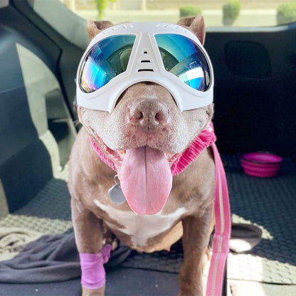 Namsan Dog Goggles for Large Dogs, Wide Snout & Soft Frame, Tactical Driving Sunglasses for Dogs Medium to Large Breed, Anti-UV Dog Eye Protection, Windproof Dustproof, Adjustable, White - color: (Large)Blue Lens