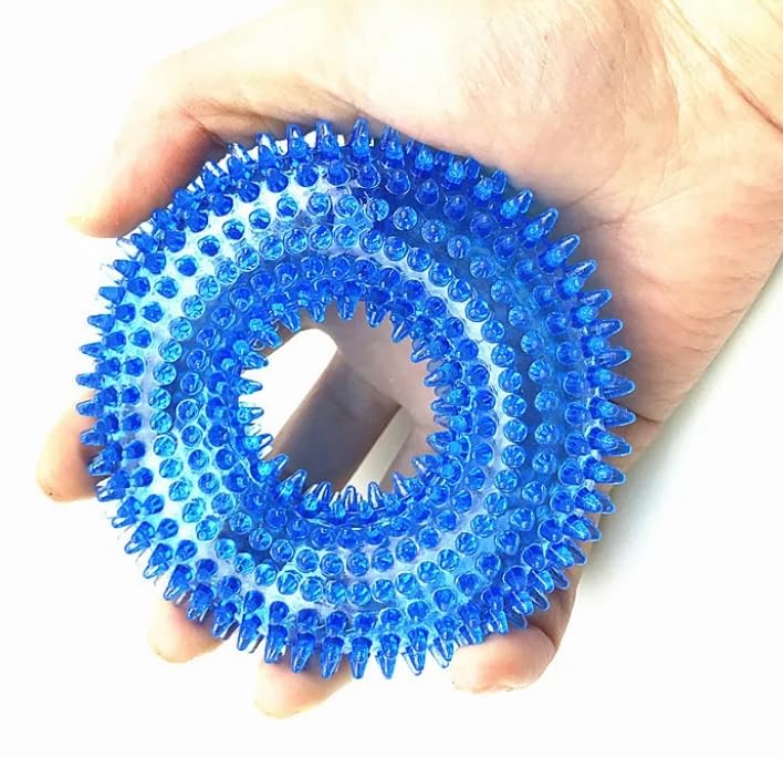 Interactive Dog Chew Ring Toy with Sound, Dental Cleaning, Durable Textured Surface (Blue, Large) - color: Blue, size: Large