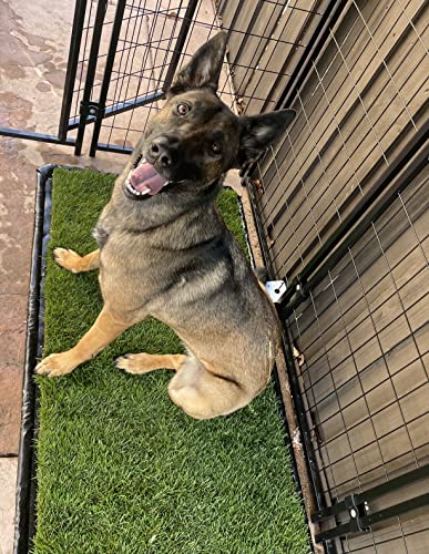 Washable Puppy Dog Pee Pads Mat, Reusable Pee Pad Mat (26.75 in x 51.5 in), Leakproof Potty Training Pad Mat, Real Grass Potty Training Flex Mat, Training Pee Pad Holder for Dogs - Tray Alternative
