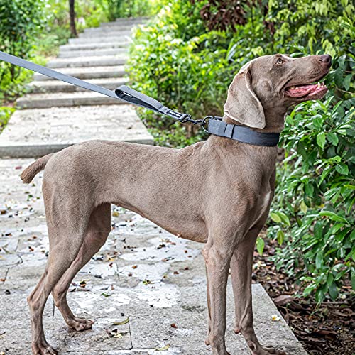 OneTigris Handled No-Pull Dog Walking Leash Long Traffic Leads for Medium to Large Dogs (Black, 6FT) - color: Black, size: 6FT