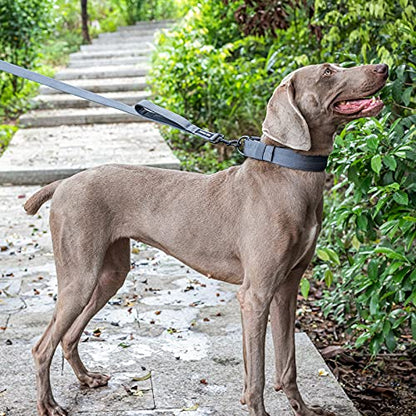 OneTigris Handled No-Pull Dog Walking Leash Long Traffic Leads for Medium to Large Dogs (Black, 6FT) - color: Black, size: 6FT