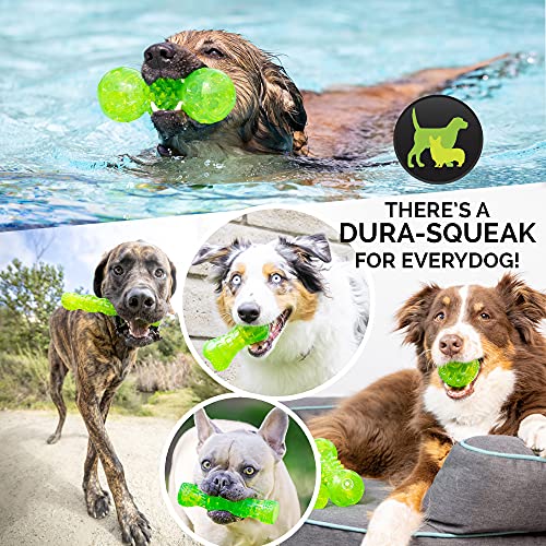 Hyper Pet DuraSqueak Dog Ball Toy, Interactive Dog Toys that Float and Squeaks for Playing, Fetching and Retrieving-Great Alternative to Traditional Tennis Balls Green 2.5 Inch - size: 2.5 Inch