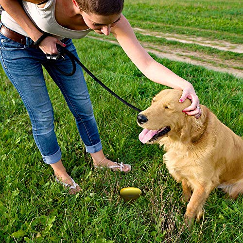 Simple Solution Pee Post Outdoor Dog Training Aid, 13-Inch Pheromone-Infused Stake for Puppy Potty Training, Yard Marking, and Housebreaking, Dog Pee Attractant for Lawn & Garden (Pack of 6) - size: 13 INCH (Pack of 6)