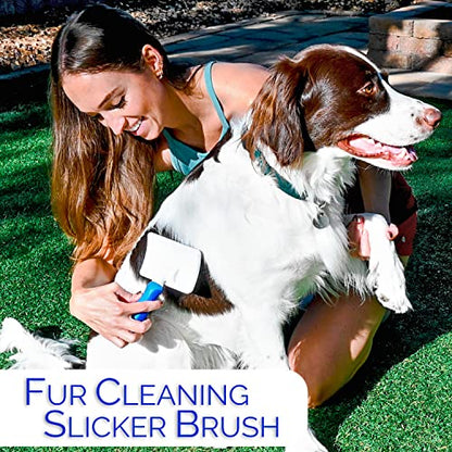 6 In 1 Premium Dog Brush Set - Dog Grooming Brushes - Ball Pin & Bristle Brush, Curved Blade Dematting Comb, Slicker Brush, Deshedding Edge Comb, Detangling Pet Comb