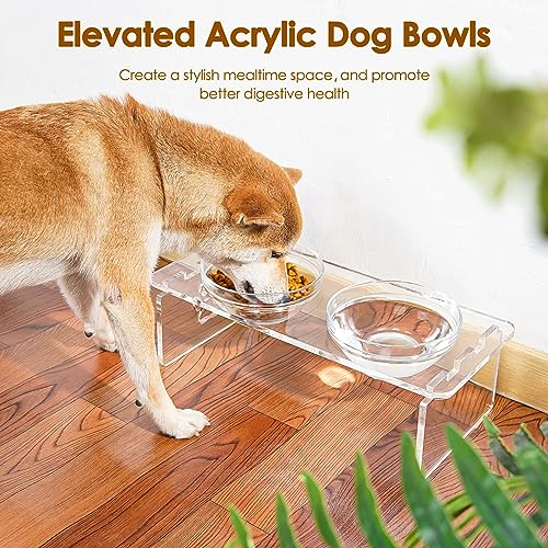 Elevated Dog Bowls for Medium Dogs – 5.5” Acrylic Raised Pet Feeder Stand with 2 Stainless Steel & 2 Glass Removable Bowls – Food & Water Dish Set - size: Medium Dogs-5.5" Height