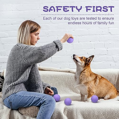 Hiboom 15 Pack Natural Rubber Tennis Balls for Dogs Catching Pet Dog Balls for Fetch Training 2.4 Inch Interactive High Bounce and Floatable pet Toy for Park Beach Gift(Purple) - color: Purple