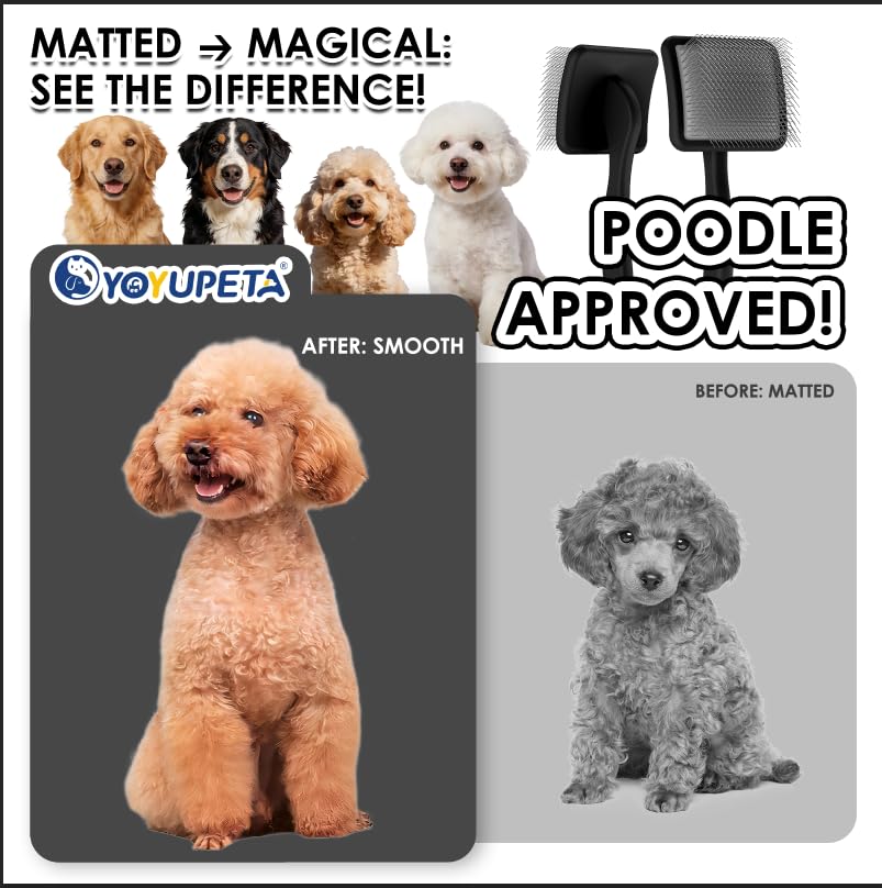 Large Dog Slicker Brush, 2 PCS Doodle Grooming Brush Kit with Comb, Black | With two leather protective covers; ideal for Goldendoodles, Poodles, Labradoodles; extra long pin; premium wooden handle. - color: Black
