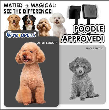 Large Dog Slicker Brush, 2 PCS Doodle Grooming Brush Kit with Comb, Black | With two leather protective covers; ideal for Goldendoodles, Poodles, Labradoodles; extra long pin; premium wooden handle. - color: Black