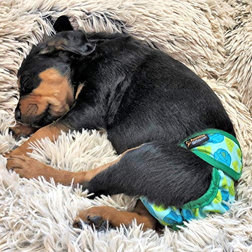 Pack of 3 Female Dog Diapers with 4 - Layers of Absorbent Pads Cat Panties Waterproof Leak Proof Washable (M: Waist 16" - 20", Flowers Pattern) - color: Pack of 3 Flowers Pattern, size: M: Waist 16" - 20"