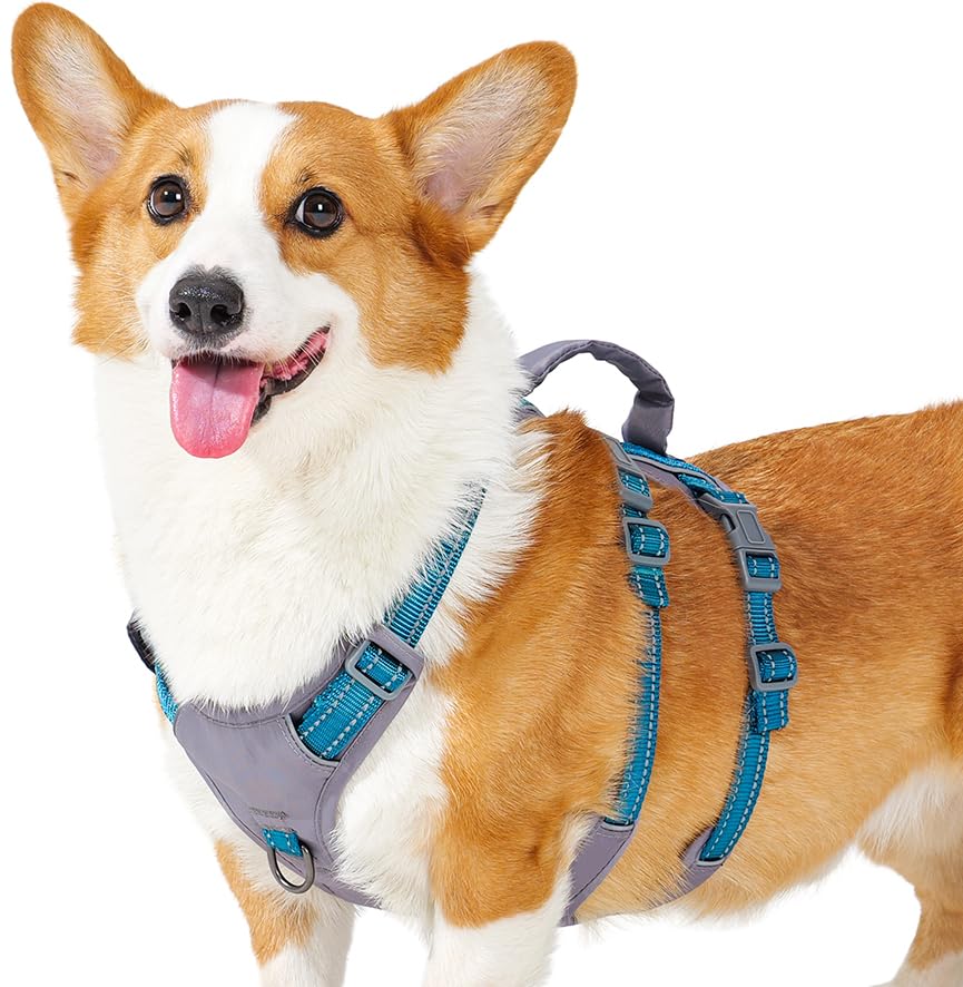 Huntboo Reflective Dog Harness with Handle, Escape Proof, No Slip, Breathable, Lightweight, Adjustable Lift Harness for Small, Medium, and Large Dogs Walking, Training, and Running Gear(Teal Blue,XS) - color: Teal Blue, size: X-Small(Pack of 1)