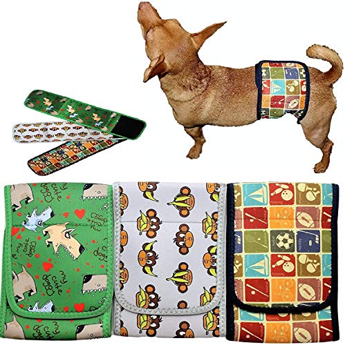 Set - 3pcs Dog Diaper for Male Belly Band Neoprene Reusable Washable for Small and Big Large Dogs Puppy (Set of 3 Colors, S: Waist 10" - 13") - color: 3 Colors, size: S: WAIST 10" - 13"