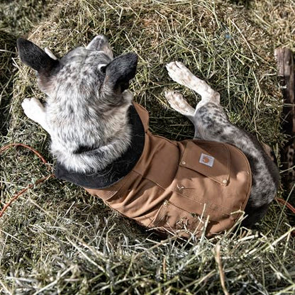 Carhartt Firm Duck Insulated Dog Chore Coat Army Green/Brass, Medium - color: Army Green, size: Medium