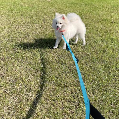 WYuZe 3 Handle Dog Leash 7ft Nylon Bungee Leash with Traffic Padded Handles | Reflective Training Medium Large Dog No Pull Shock Absorbing Comfortable Walking Hiking (7ft, Blue) - color: Blue