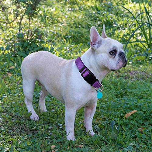 Ladoogo Reflective Dog Collar Padded with Soft Neoprene Breathable Adjustable Nylon Dog Collars for Small Medium Large Dogs (X-Small (Pack of 1), Purple Collar+Leash) - color: Purple Collar+Leash, size: X-Small (Pack of 1)