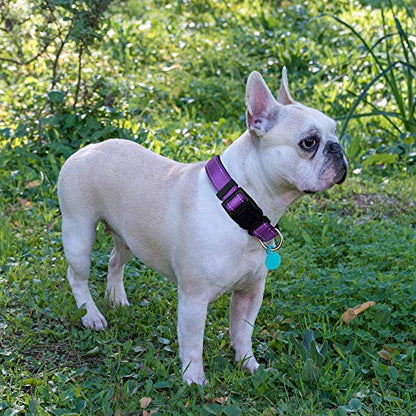 Ladoogo Reflective Dog Collar Padded with Soft Neoprene Breathable Adjustable Nylon Dog Collars for Small Medium Large Dogs (X-Small (Pack of 1), Purple Collar+Leash) - color: Purple Collar+Leash, size: X-Small (Pack of 1)