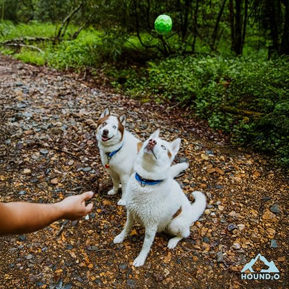 Dog Toys | Squeaky Fetch Ball for Dogs | Bright Green Floating Outdoor Dog Ball with Squeaker - color: Green