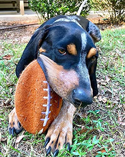 Nylabone Power Play Felt Football Gripz Fetch Toy, Squeaky Ball Chew Toy for Dogs, Medium (1 Count) (Pack of 4) - size: Medium (Pack of 4)
