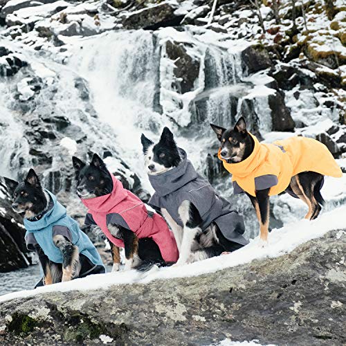 Hurtta Expedition Parka, Winter Dog Coat, Bilberry, 8 in - color: Bilberry, size: 8 in (Regular)