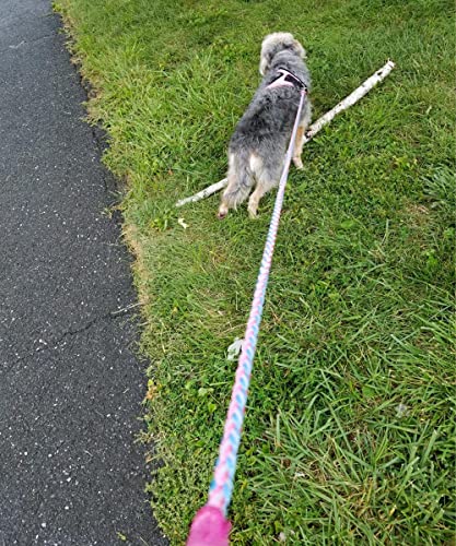 2/3/4/6/10 Foot Reflective Dog Leash Strong Nylon Rope Braided Heavy Duty for Large Medium Small Dogs Walking Training Leads (Pink, 10ft * 1/2") - color: Pink, size: 10ft * 1/2"