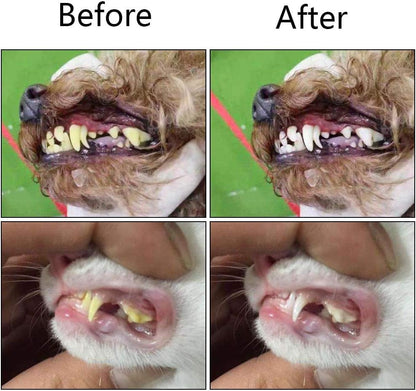 Orgrimmar 8 Pcs 3-Sided Pet Toothbrush Dog Cat Mouth Dental Teeth Care | Pet Brush for Bad Breath Tartar Cleaning - color: Multicolor-8