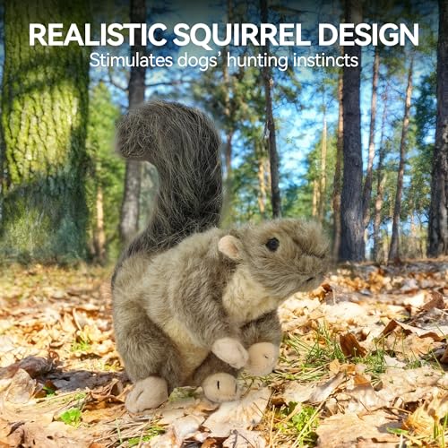 ALL FOR PAWS Interactive Dog Squirrel Plush Squeaky Toy - Perfect Puppy Enrichment Toy, Large