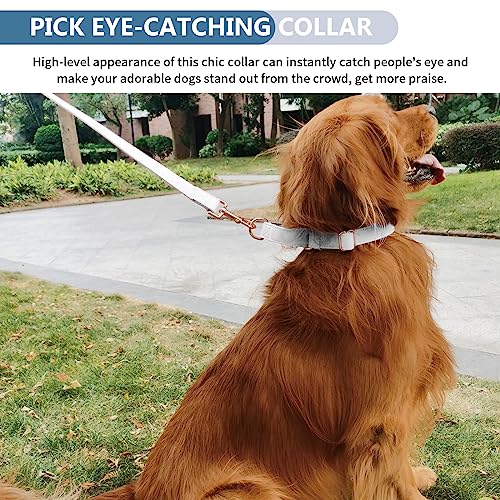 Soft Leather Martingale Dog Collar - Adjustable Rose Gold Limited Slip Collars [Easy to Clean], Stylish Durable Heavy Duty Nylon No Pull Training Collar for Small Medium Large Dogs XS White - color: White, size: XS (Neck 8"-11", Width 3/5")