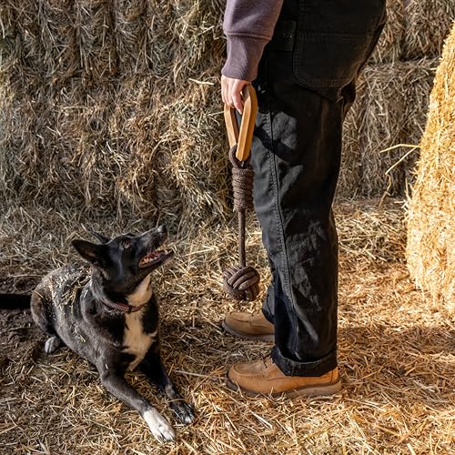 Carhartt Pet Training Tools, Rugged Dog Tool for Tug, Fetch and Play, Monkey Fist Dog Pull (Blaze Orange) - color: Monkey Fist Dog Pull (Blaze Orange)