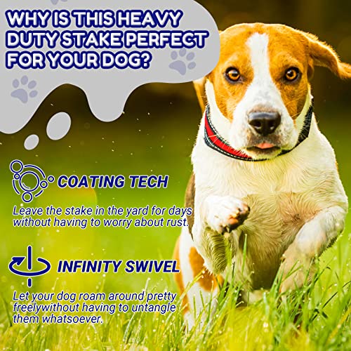 Amylove 2 Set Dog Tie Out Cable and Stake 32ft Leash Chain 16" Spiral Stake Heavy Duty Leash and Stakes for Outside Yard Camping Beach for Medium to Large Dogs up to 125 Lbs(Blue) - color: Blue