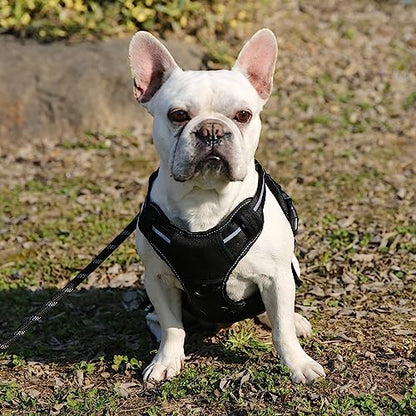 Amazon Basics No-Pull Dog Harness, Adjustable Front Clip, Escape Proof Tactical Vest, Small, Black - size: Small