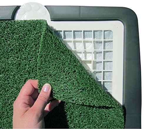 Spotty Indoor Potty Pad, House Training Pet Puppy Dog Artificial Grass Turf Pee Mat