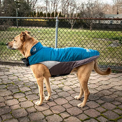 DOGHELIOS 'Hurricane-Waded' Plush Adjustable 3M Reflective Insulated Winter Pet Dog Coat Jacket w/ Blackshark technology, Small, Grey