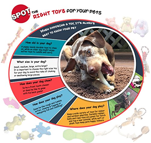 SPOT Play Strong Bones Chew Toys and Ball Toys for Dogs - Great for Aggressive Chewers and Puppies - Ball - Small (Pack of 2) - size: Large (Pack of 2)