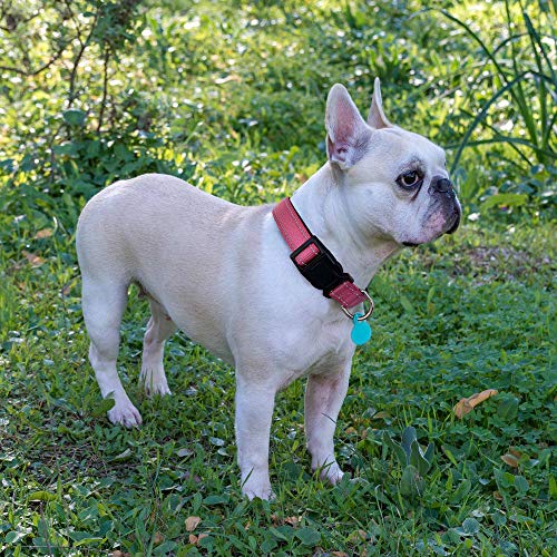 Ladoogo Reflective Dog Collar Padded with Soft Neoprene Breathable Adjustable Nylon Dog Collars for Small Medium Large Dogs (X-Small (Pack of 1), Pink Collar+Leash) - color: Pink Collar+Leash, size: X-Small (Pack of 1)