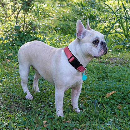 Ladoogo Reflective Dog Collar Padded with Soft Neoprene Breathable Adjustable Nylon Dog Collars for Small Medium Large Dogs (X-Small (Pack of 1), Pink Collar+Leash) - color: Pink Collar+Leash, size: X-Small (Pack of 1)