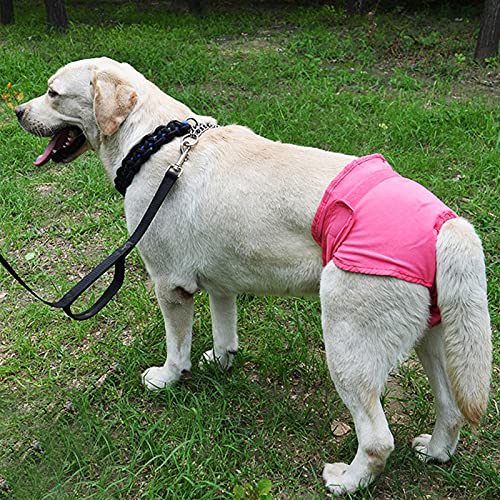 Dog Sanitary Pant,Breathable Cotton Washable Female Dog Diaper Dog Suspender Nappy Menstrual Underwear Pants for Girl Female Dog Menstruation and Avoid Harassment (L)