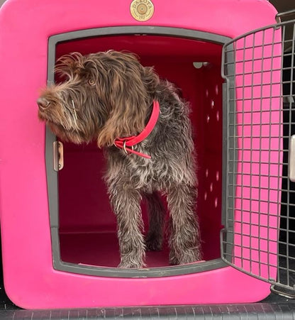 dakota283 G3 Framed Door Kennel - Large - Pink - color: Pink, size: Large
