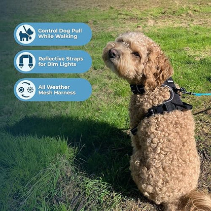 Voyager Dog Harness Dual Leash Attachment No-Pull Control Adjustable Soft but Strong Pet Harness for Medium and Large Dogs with 3M Reflective Technology, Black Nylon, S (Chest: 16-20") - color: Black Nylon, size: S (Chest: 16 - 20")