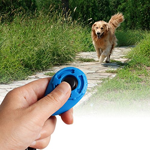 SERYU 1 Piece Dog Pet Click Clicker Training Trainer Aid Wrist Strap Orange - color: Orange