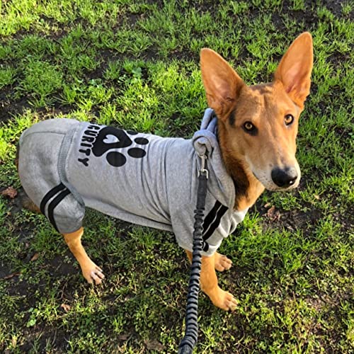 Dog Security Clothes - 4 Legs Jumpsuit Sweatshirt Hoodie - Soft & Warm Winter Outfit Pullover Sweater for Small Medium Large Dogs Cats (Grey, XX-Small) - color: Grey, size: XX-Small
