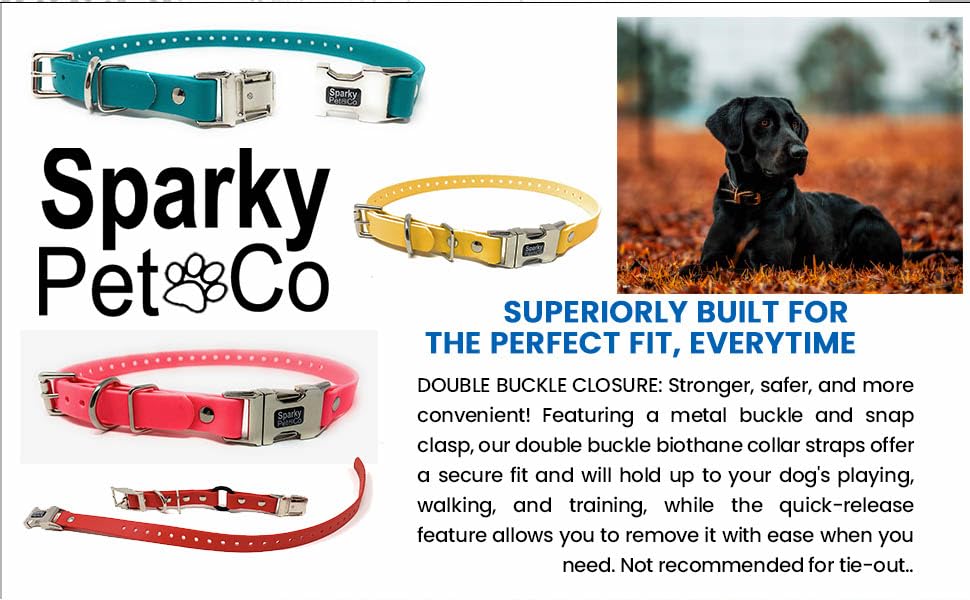 Sparky Pet Co - Apollo ECollar Replacement Strap - Dog Collar - Waterproof Biothane - Adjustable - Double Buckle - Quick Snap Metal Clasp - for Invisible Fence Systems - 3/4" x 28" (Light Blue)