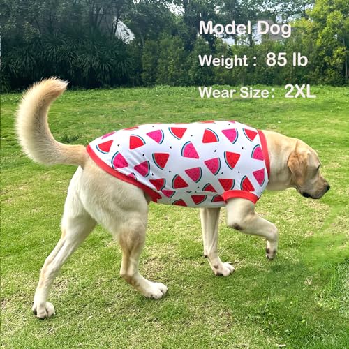 Dog Sleeveless T Shirt Fun Fruit Prints Pet Vest Shirt Soft Stretchy Summer Clothes for Large Dogs Boy Girls Clothes (Large,Watermelon) - color: Watermelon, size: Large
