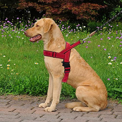 Red No Pull Dog Harness for Small Medium Large Sized Dog, Reflective Escape Proof Adjustable Dog Harnesses with 2 Patch, S - color: Red, size: S-Chest size 18-22''
