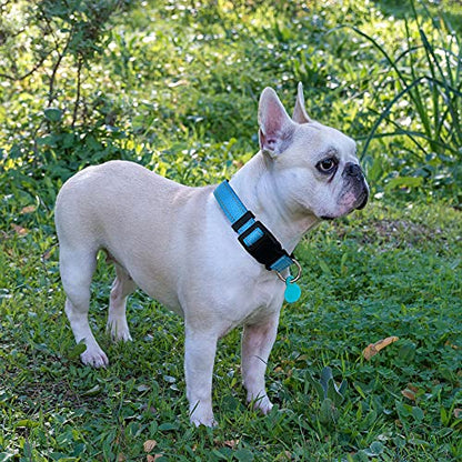 Ladoogo Reflective Dog Collar Padded with Soft Neoprene Breathable Adjustable Nylon Dog Collars for Small Medium Large Dogs (X-Small (Pack of 1), Vivid Blue Collar+Leash) - color: Vivid Blue Collar+Leash, size: X-Small (Pack of 1)