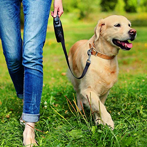 Simple Solution Pee Post Outdoor Dog Training Aid, 13-Inch Pheromone-Infused Stake for Puppy Potty Training, Yard Marking, and Housebreaking, Dog Pee Attractant for Lawn & Garden (Pack of 6) - size: 13 INCH (Pack of 6)