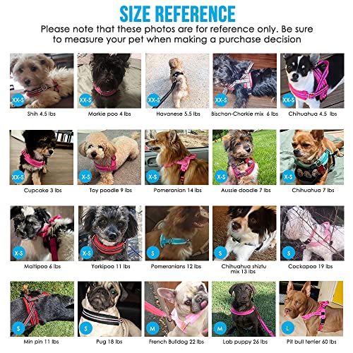 Lukovee No Pull Dog Harness and Leash Set, Soft Padded Small Dog Harness, Neck & Chest Adjustable Reflective Vest Puppy Harness with 4ft Lightweight Anti-Twist Dog Leash for Small Dogs (XXS, Purple) - color: A-Purple, size: XXS ( Chest 11.5'' ~ 15'')