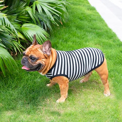 iChoue French Bulldog 100% Breathable Cotton Striped T Shirts Halloween Vest Clothes for Medium Dogs Tank Tops Frenchie Pug English Boston Terrier Pitbull Grey Black Stripes - Large Plus - color: Classic Stripe Black Grey, size: Large Plus ( 35 - 45 lbs )
