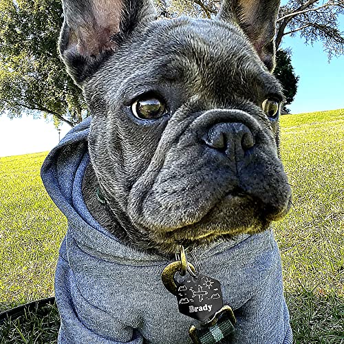 Personalized Dog Tag with 5 Lines of Custom Deep Engraved Durable Stainless Steel Pet ID Name Tag Designer Regular Size Hexagon - size: Regular, style: Hexagon