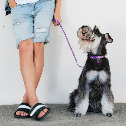 Black Bell Collar for Small Dogs, Puppy Collar and Leash Set Pawprint XSmall Dog Collar Adjustable Kitten Collar with Bell for Tiny Little XXS XS Extra Small Breed Pets Dogs Cats Girls Boys - color: Black